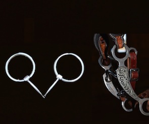 00148 from snaffle to bridle copy 295 x 246.jpg